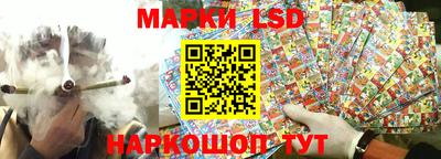 apvp Кингисепп
