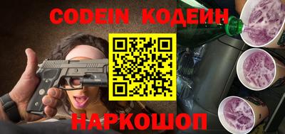 apvp Кингисепп