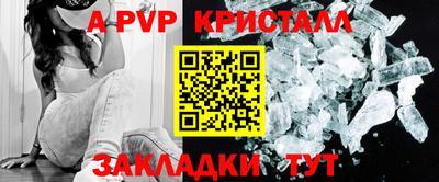 apvp Кингисепп