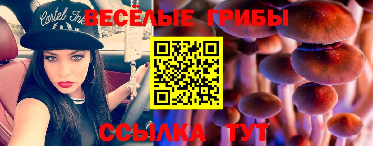 Галлюциногенные грибы мицелий  Вход с VPN  Королёв 